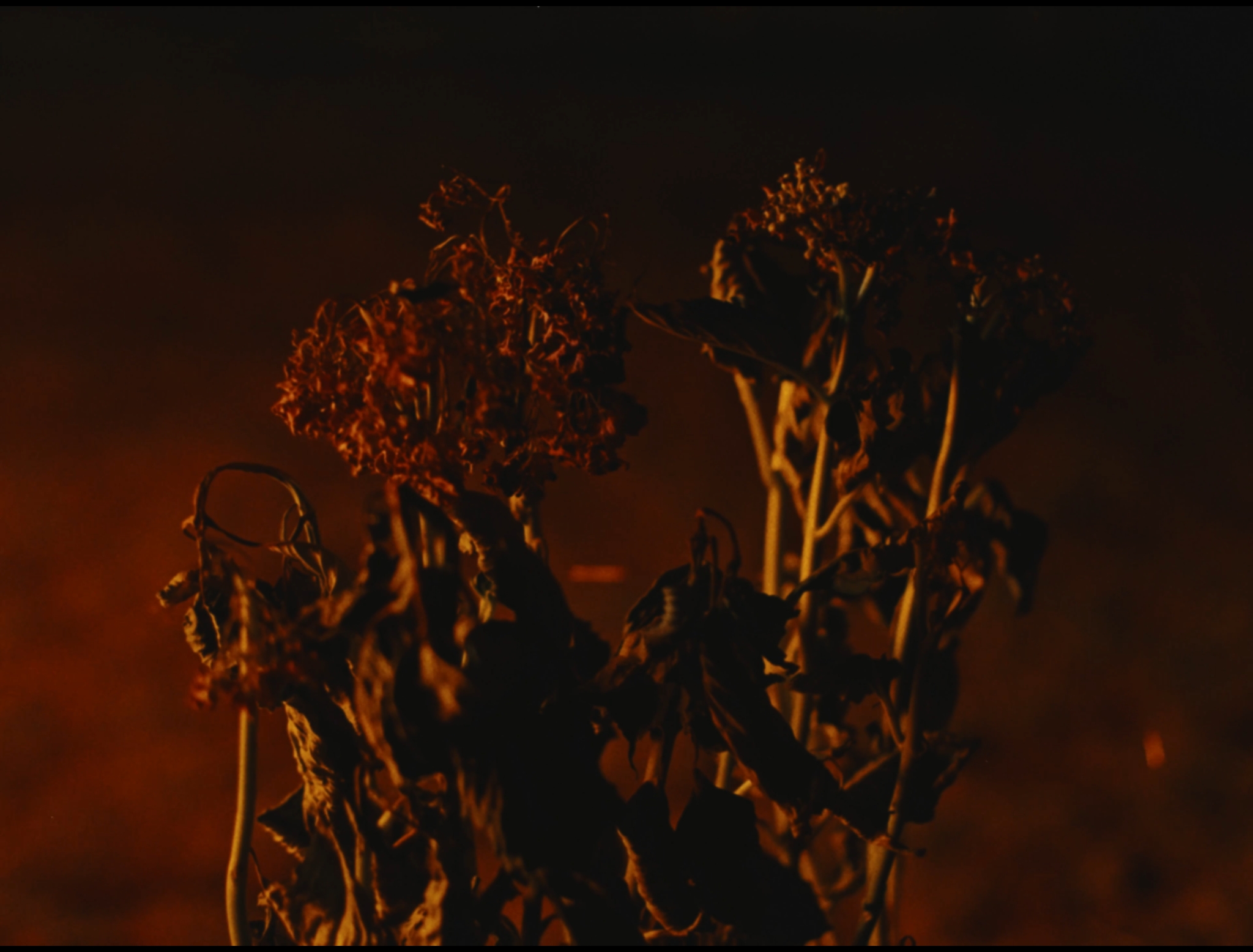 Still frame del Sin soltarte, dejarte ir