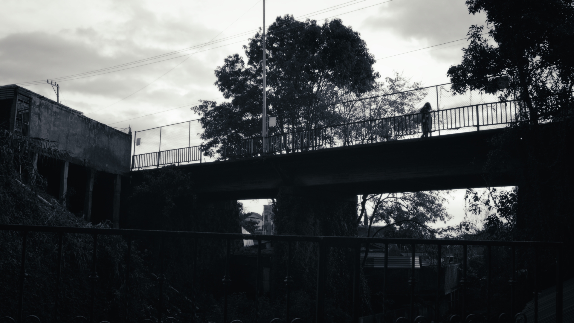 Still frame del CRISÁLIDA DE LATA